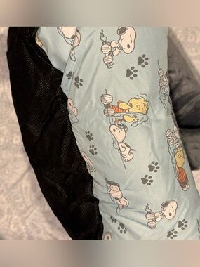 Peanuts Snoopy & Linus Plush Gray & Light Blue Pet Bed
